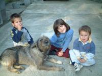 Mes 3 amours